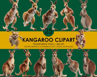 Kangaroo Clipart: 25 Cartoon & Realistic PNG Graphics (Digital Download)