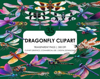 35 clipartillustraties libel: png-afbeeldingen (digitale download)