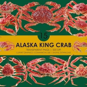 15 imágenes prediseñadas de cangrejo real de Alaska, cangrejo real PNG, imágenes prediseñadas de cangrejo realista, ilustración de mariscos, imágenes prediseñadas de animales del océano, vida marina, gastronomía del cangrejo