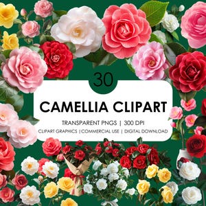 30 imágenes prediseñadas de camelia/camelia realista/imágenes PNG de camelia/flores de camelia/imágenes prediseñadas de flores/camelia rosa/camelia roja/camelia floral