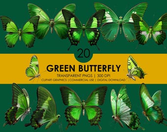 May include: Twenty green butterfly illustrations with transparent backgrounds. The butterflies are in various poses with wings spread and closed. The butterflies are green with white accents.