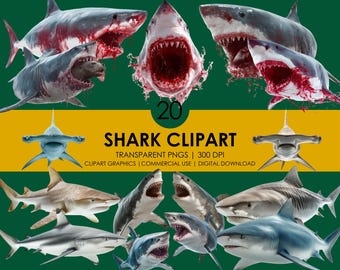Realistic Shark Clipart Bundle: Ocean Animal Graphics (Digital Download PNGs)