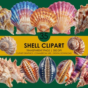 Puede incluir: Una colección de 35 imágenes prediseñadas de conchas marinas en varias formas y colores, incluyendo naranja, rosa, azul y marrón. El texto "SHELL CLIPART" se muestra en una pancarta amarilla, con información sobre PNG transparentes y uso comercial.