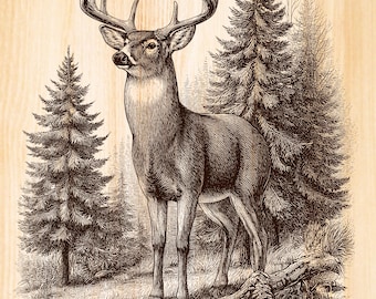 White-tailed Deer in Pine Forest, Rustic Wildlife Laser Engraving File, Deer Silhouette PNG for Laser Burn, Hunting Nature Scene