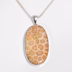 Peut inclure: Un collier en argent avec un pendentif ovale en forme de corail fossilis&eacute; dans des tons de brun et beige.