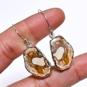 Petrified Wood Earrings Brown Stone Earrings Gemstone Earrings 925 Silver Earrings Dangle Earrings for Women Valentines Day Gifts For Her