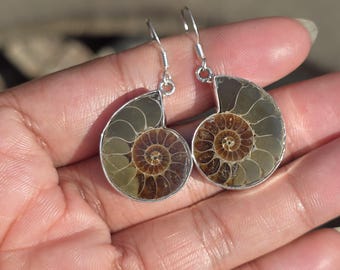 Natural Ammonite Fossil Dangle Drop 925 Sterling Silver Earrings Handmade Statement Jewelry Sea Shall Jewelry Anniversary Gift For Women