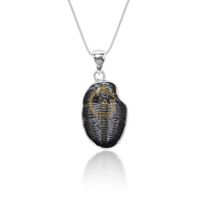Sterling Silver Trilobite Pendant: Natural Fossil Cabochon Jewelry