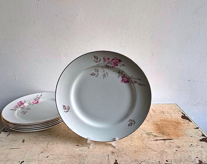 Ceramic Plates by Richard Ginori, Set of Six, Vintage Style, Made in Italy, Italian Decor, Dining Table Essentials