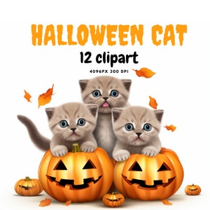 Halloween Cats Clipart Clip Art, Digital Paper Craft, cute cats and PNG format instant download for commercial use