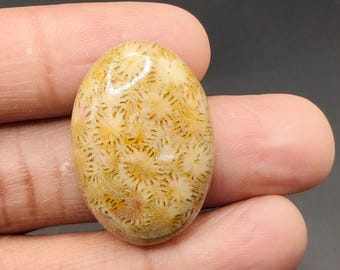 Natural Fossil Coral Cabochon Gemstone | Fossil Coral Oval Shape Cabochon Stone |  Smooth Cabochon Size 27x19 MM For Making Jewelry