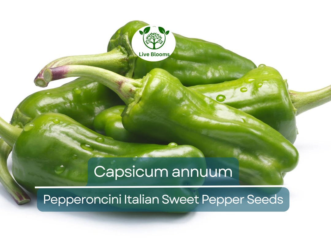 250 Mg Pepperoncini Italian Sweet Pepper Seeds - Capsicum Annuum