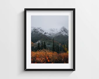 Denali Foggy Forest Wall Art – Alaska Autumn Mountain Photography Print – Nature Decor