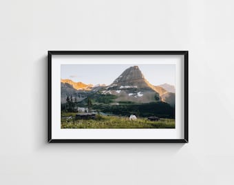 Glacier National Park Wall Art – Mountain Goat Hidden Lake Landscape Photography Print