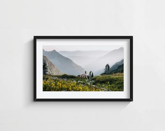 Mountain Goat Wildflower Wall Art Print Glacier National Park Wildlife Nature Home Decor Photography