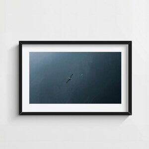 Impresión minimalista de pájaro en la niebla: elegante arte mural de naturaleza azul, fotografía de cielo suave, póster de vuelo sereno, decoración relajante