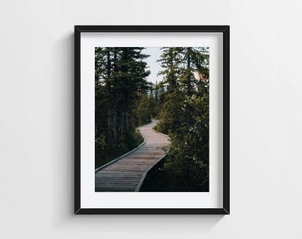 Sunrise Forest Path Print, Wooden Boardwalk Wall Art, Peaceful Nature Photography