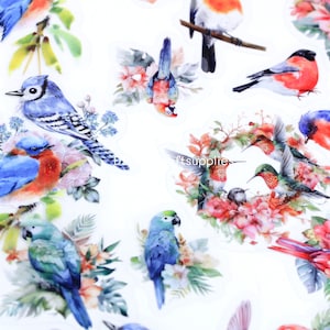 30 adesivos de pássaros em aquarela, adesivos de pássaros com ilustrações coloridas, lindos pássaros com adesivos de flores para scrapbooking, criação de cartões