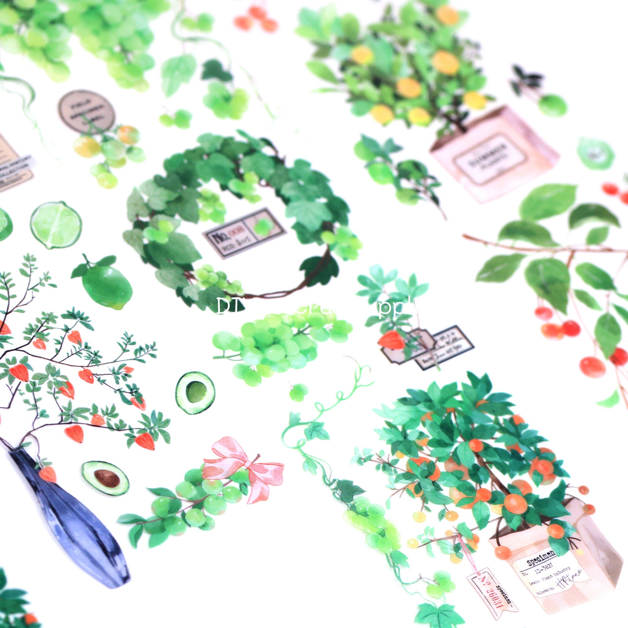 6 Pcs Sticker Sheet Water Color Plant Pots Stickers, Botanical Fruit ...