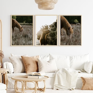 Set of 3 Horses Prints, Horses Portraits Wall Art Set, DIGITAL DOWNLOAD, Animal Prints Set, Set of 3 Wall Art, Farmhouse Set of 3 Print
