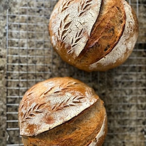 The Original Sourdough Bread
