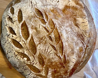 Whole Wheat Sourdough Bread