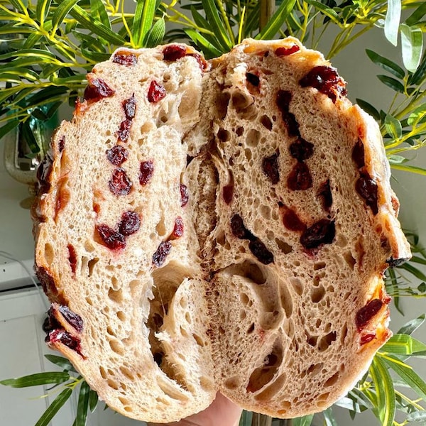 Cranberry Sourdough Bread