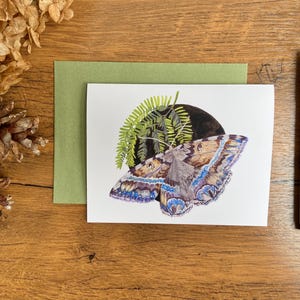 May include: A white card with a green fern and a blue and brown butterfly on a black background. The card is on a wooden surface.