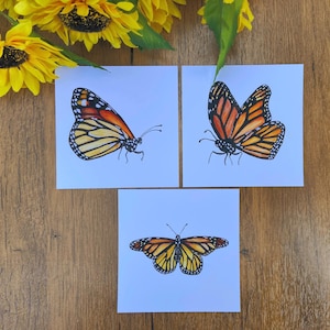 May include: Three white cards with black outlines, each featuring a hand-drawn monarch butterfly with orange and black wings. The butterflies are drawn in different positions and sizes.