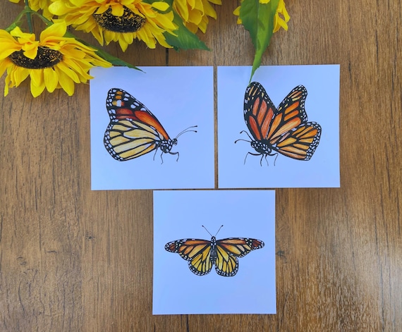 Monarch Butterfly Art Print Naturalist Gouache Illustration Minimalist Natural Home Decor Butterfly Pollinator Wall Art Gift for Gardener