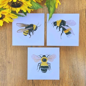May include: Three white cards with illustrations of bumblebees. Each card features a different pose of the bee, with black and yellow stripes and translucent wings.