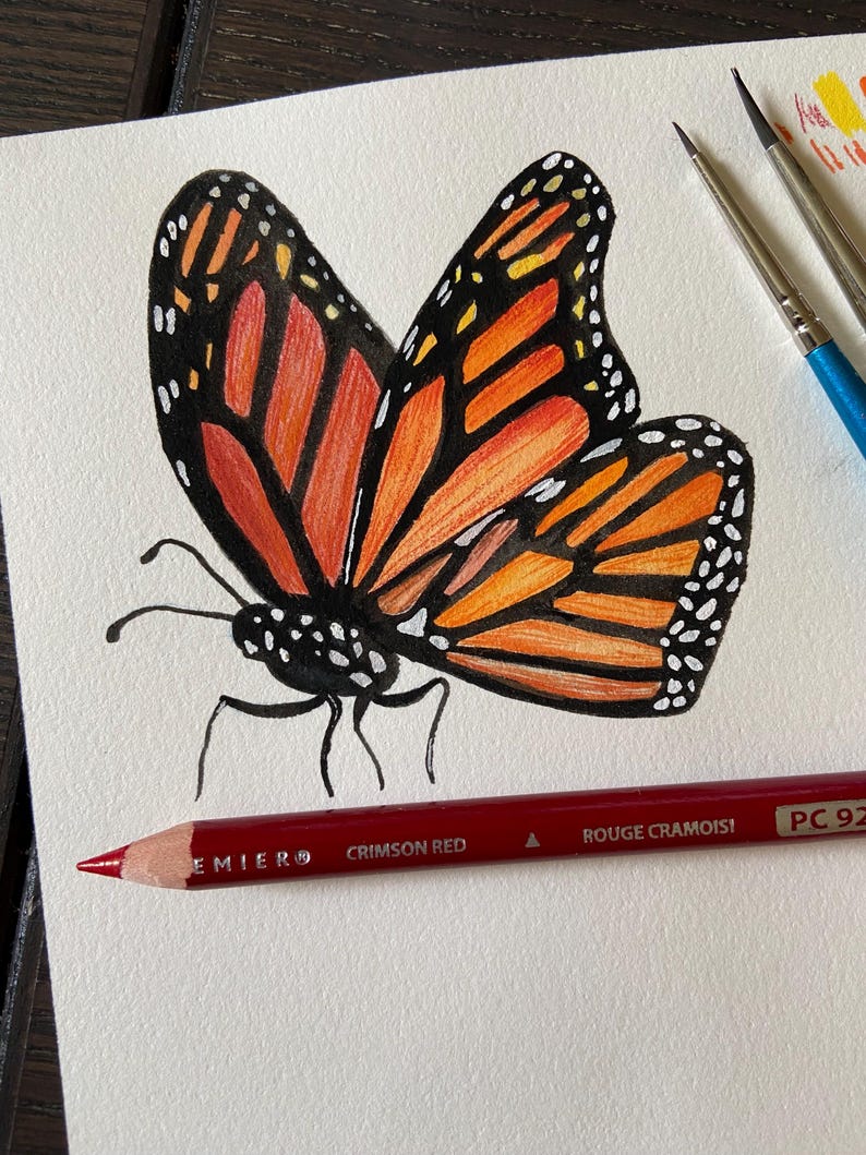 Może przedstawiać: Aquarela przedstawiająca motyla monarchy z pomarańczowymi i czarnymi skrzydłami. Motyl jest namalowany na białym papierze, pod nim leży czerwony oł&oacute;wek.