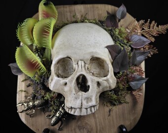 Gothic Wall Art, Human Skull Decor, Macabre Wall Art, Occult Dark Home, Oddities & Curiosities, Haunted House, Dark Academia - Victorian