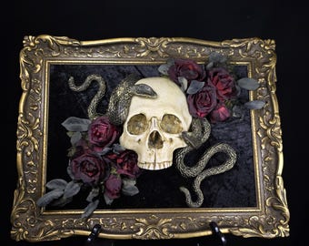 Gothic Wall Art, Human Skull Decor, Macabre Wall Art, Occult Dark Home, Oddities & Curiosities, Haunted House, Dark Academia - Victorian
