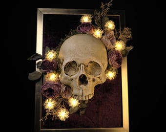 Gothic Wall Art, Human Skull Decor, Macabre Wall Art, Occult Dark Home, Oddities & Curiosities, Haunted House, Dark Academia - Victorian