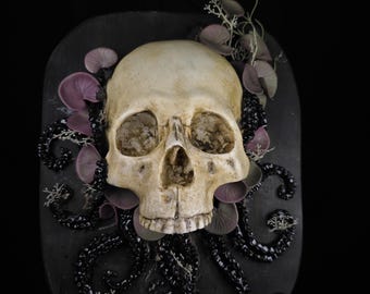 Gothic Wall Art, Human Skull Decor, Macabre Wall Art, Occult Dark Home, Oddities & Curiosities, Haunted House, Dark Academia - Victorian