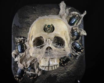 Gothic Wall Art, Human Skull Decor, Macabre Wall Art, Occult Dark Home, Oddities & Curiosities, Haunted House, Dark Academia - Victorian