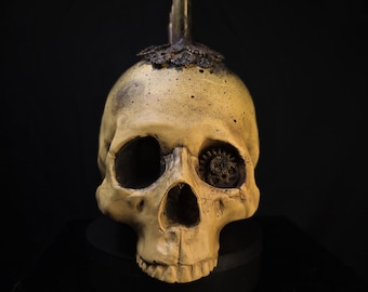 Gothic Wall Art, Human Skull Decor, Macabre Wall Art, Occult Dark Home, Oddities & Curiosities, Haunted House, Dark Academia - Victorian