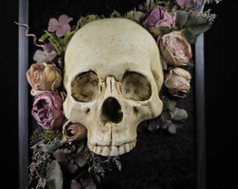 Gothic Wall Art, Human Skull Decor, Macabre Wall Art, Occult Dark Home, Oddities & Curiosities, Haunted House, Dark Academia - Victorian