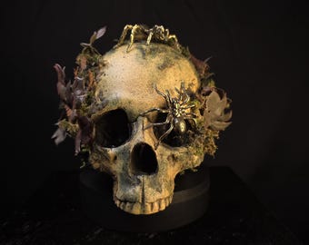 Gothic Wall Art, Human Skull Decor, Macabre Wall Art, Occult Dark Home, Oddities & Curiosities, Haunted House, Dark Academia - Victorian