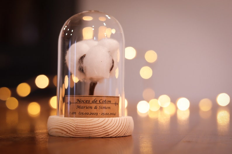 cadeau noces de coton 1 an de mariage. dôme en verre noces de coton, noce de coton image 1