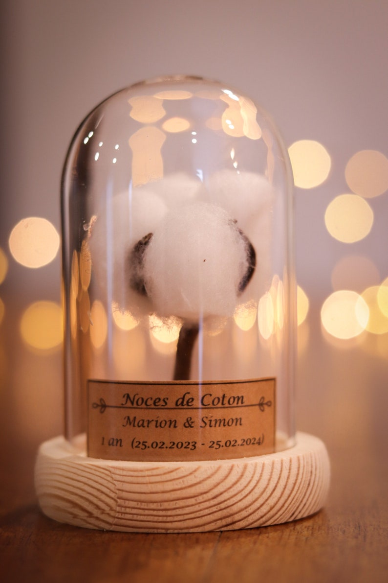 cadeau noces de coton 1 an de mariage. dôme en verre noces de coton, noce de coton image 6