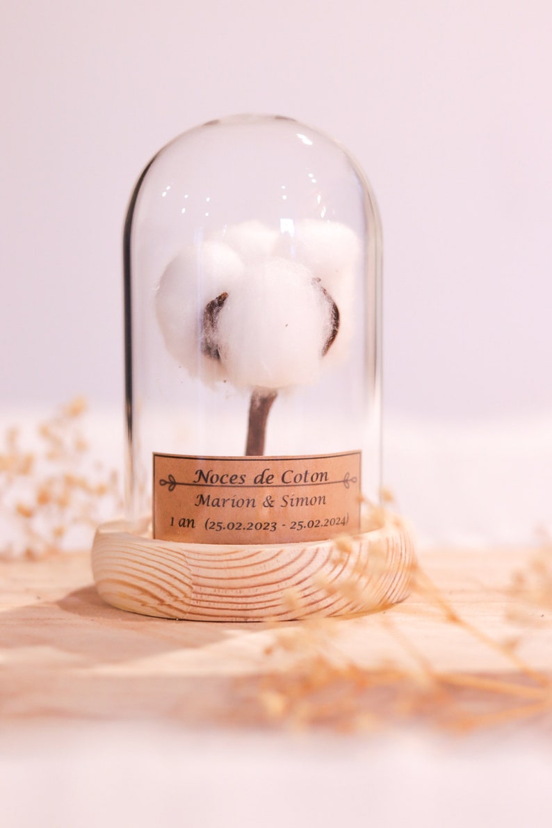 cadeau noces de coton 1 an de mariage. dôme en verre noces de coton, noce de coton image 4