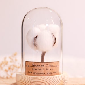 cadeau noces de coton 1 an de mariage. dôme en verre noces de coton, noce de coton image 2