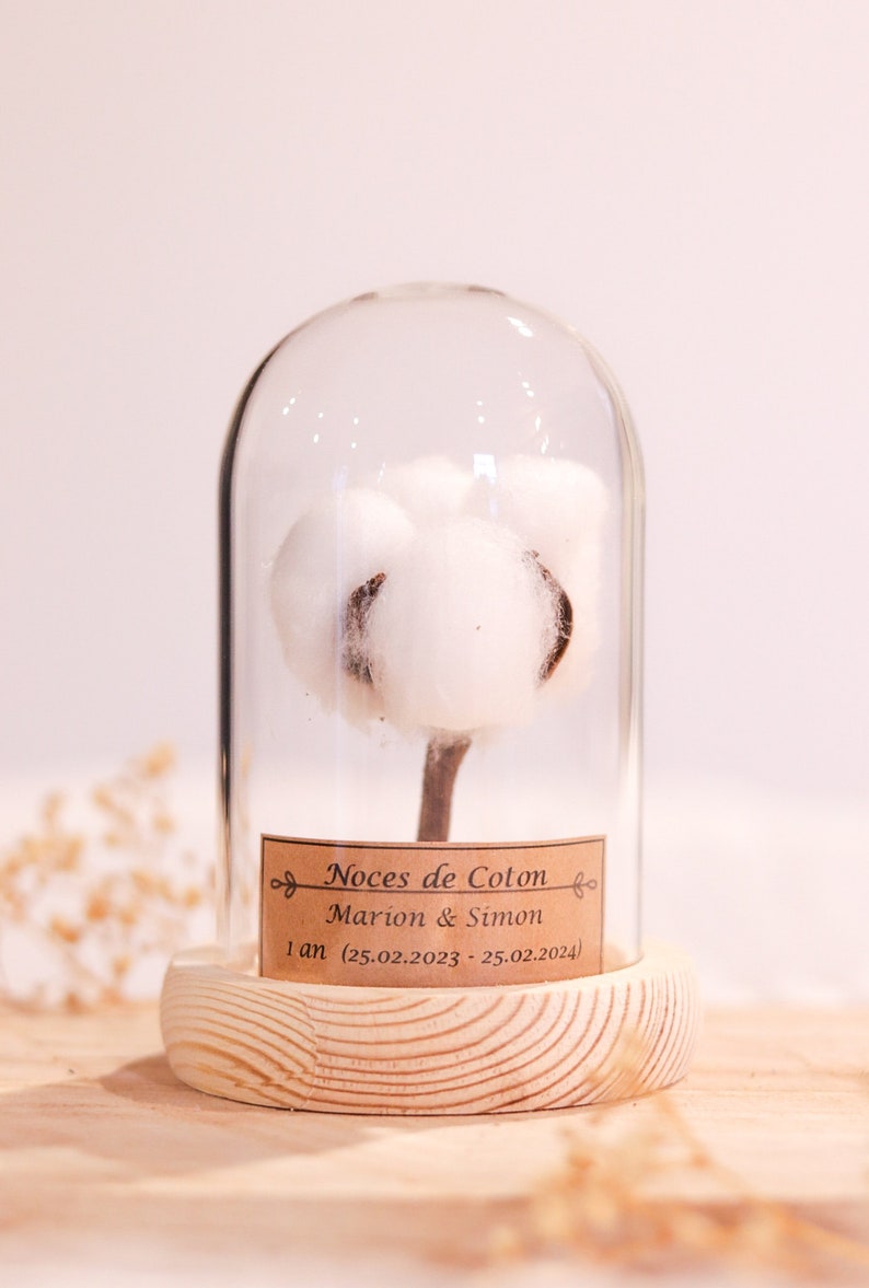 cadeau noces de coton 1 an de mariage. dôme en verre noces de coton, noce de coton image 2