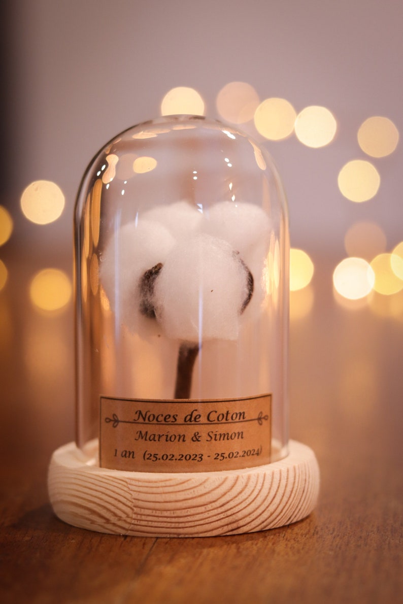 cadeau noces de coton 1 an de mariage. dôme en verre noces de coton, noce de coton image 2