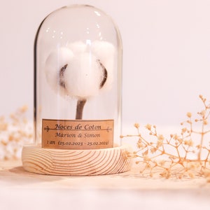 cadeau noces de coton 1 an de mariage. dôme en verre noces de coton, noce de coton image 3