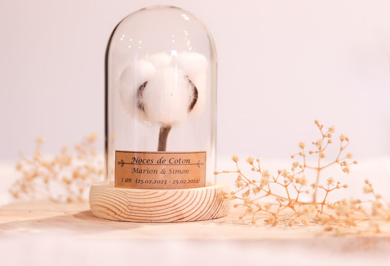 cadeau noces de coton 1 an de mariage. dôme en verre noces de coton, noce de coton image 3