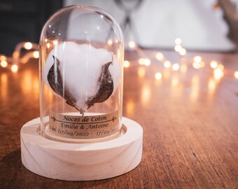 cadeau noces de coton 1 an de mariage. dôme en verre noces de coton, noce de coton