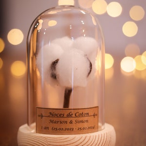 cadeau noces de coton 1 an de mariage. dôme en verre noces de coton, noce de coton image 4